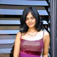 Bindu Madhavi Hot in Pink Gown Dress - Pictures | Picture 120955